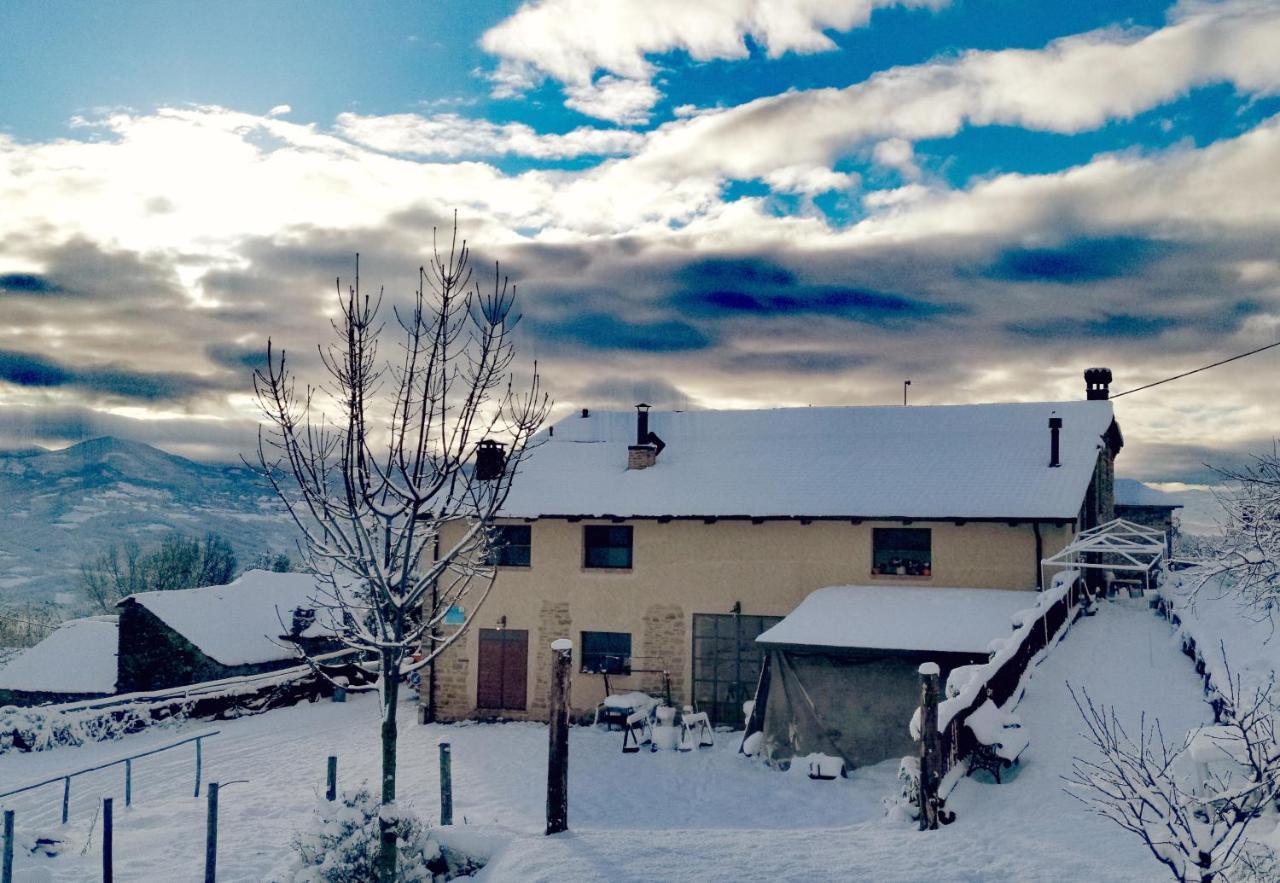 Bed and Breakfast Daina Bianca Solignano Zewnętrze zdjęcie