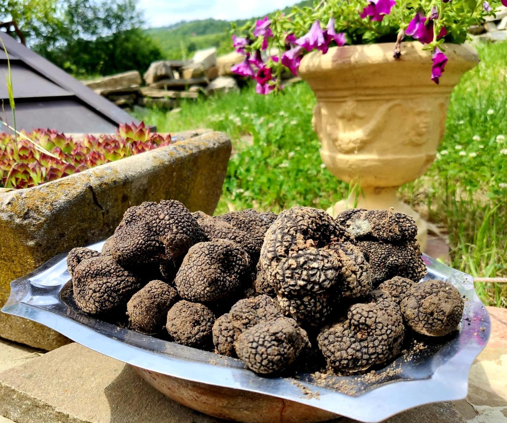 Bed and Breakfast Daina Bianca Solignano Zewnętrze zdjęcie